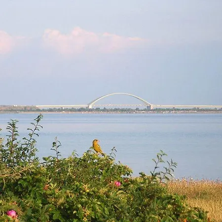 Uferschwalbe 아파트 Westermarkelsdorf